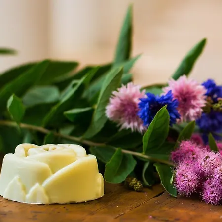 فندق La Passionaria