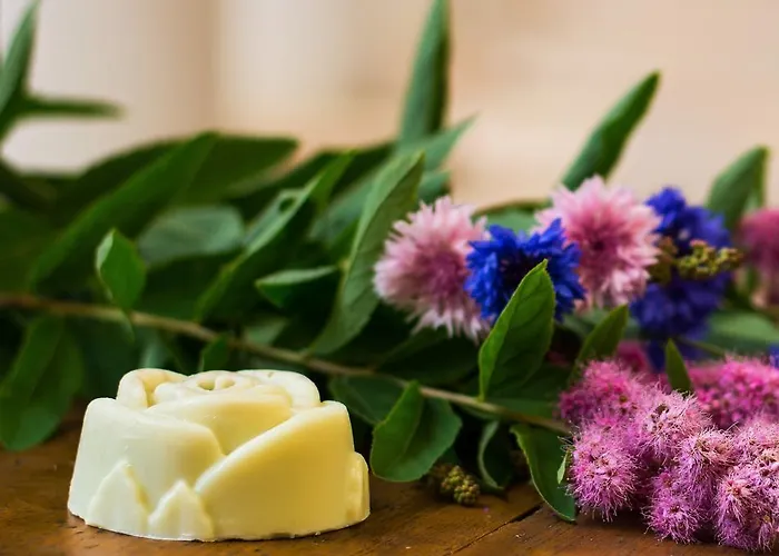 Hotel La Passionaria